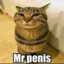 Mr.Penis