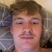 Lupp Steam avatar