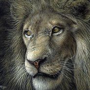 Night king - steam id 76561197995477106