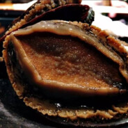 你音道理有蚂蚁在爬