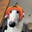 Pumpalicious