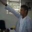 Lerche