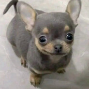 pippelimonsteri