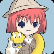 收容，保护，跑路