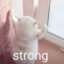 炸洗我了