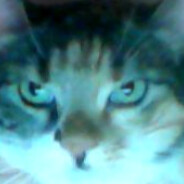 MITYO avatar