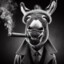 Donkey Smoking