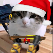 The Engineer Cat