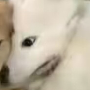 扣 2 牛 只 硬 如 钢