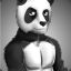 Seductive Panda