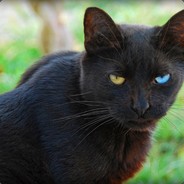 TheMajessticKat