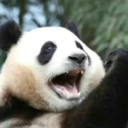 间歇性失踪人口