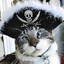 Private Pirate