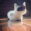 从小就很猫