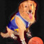 Air-bud fan 117