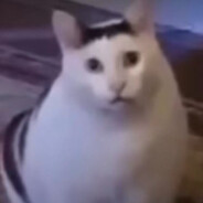 冲天螺旋大蟑螂‘；；