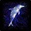 Star Dolphin