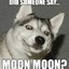 HuskyMoonMoon