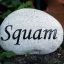 SquaM