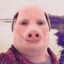 DRUGALEK DRUGALKA