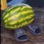 Watermelon enjoyer