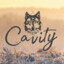 Cavity