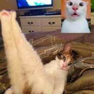 知道你急先别急