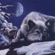 Kaeghord - Albert Clément