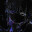 okatzu [strawberries]