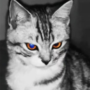 𝑬𝑪𝒂𝒕𝑲𝑲