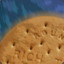 Rich Tea Biscuit