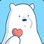 Ice bear