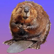 Аватар King of Beavers