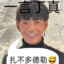 一言丁真001