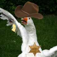Sheriff Goose