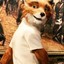 Mr.FoX