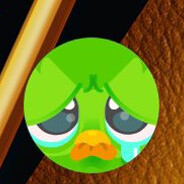 Shadee avatar