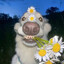 Tomeš