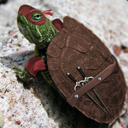 TurtleDome
