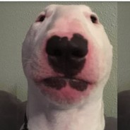 ^1 8.8