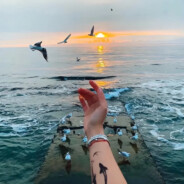 云朵偷喝我酒。