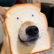 北回归线指南针