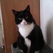 <<C.O.T>>Chr0matic - steam id 76561197970233139