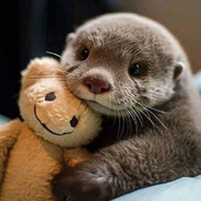 The Otter avatar