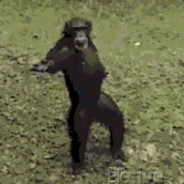 呼老大是一只金色的米诺陶