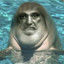 DolphinMan7