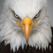 B0§§ - steam id 76561198223815484