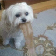 Хубельдоб