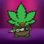 [EF] ₪ KADR
