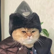 Jalta avatar